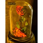 Forever Rose